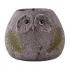 Buy 👏 Zingz & Thingz Owl Planter with Solar Lights, 6.25x5.5x5-inch 🔥