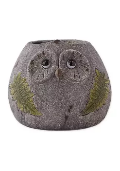 Buy 👏 Zingz & Thingz Owl Planter with Solar Lights, 6.25x5.5x5-inch 🔥