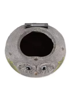 Buy 👏 Zingz & Thingz Owl Planter with Solar Lights, 6.25x5.5x5-inch 🔥 -Cheap Joyland Shop Belk 1340