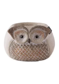 Outlet 🥰 Zingz & Thingz Checkered Owl Planter with Solar Lights, 5.5x8.5x5.5-inch 😍