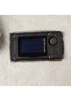 Outlet 🥰 Zingz & Thingz Checkered Owl Planter with Solar Lights, 5.5x8.5x5.5-inch 😍 -Cheap Joyland Shop Belk 1492