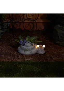 Outlet 🛒 Zingz & Thingz Snail Planter with Solar Lights, 10.75x9x4-inch 🛒 -Cheap Joyland Shop Belk 1716