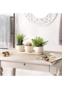 New 🥰 Zingz & Thingz Brown Round Ceramic Small Planter (Set of 3) 👍 -Cheap Joyland Shop Belk 1777