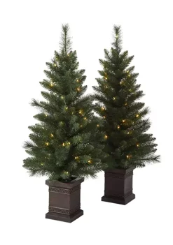Top 10 😍 Joyland 4' Pre Lit Porch Trees - Set of 2 ❤️ -Cheap Joyland Shop Belk 19