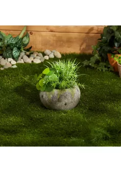 New 🔥 Zingz & Thingz Faux Stone and Fern Medium Oval Planter 👍 -Cheap Joyland Shop Belk 1987
