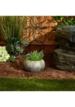 New 🔥 Zingz & Thingz Faux Stone and Fern Medium Oval Planter 👍 -Cheap Joyland Shop Belk 1988