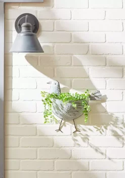 Cheap 🧨 Zingz & Thingz Bird Galvanized Wall Planter 🎉 -Cheap Joyland Shop Belk 1994