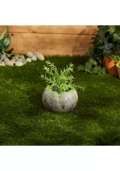 New 💯 Zingz & Thingz Faux Stone and Fern Small Oval Planter 🧨 -Cheap Joyland Shop Belk 2004