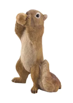 Outlet ❤️ Zingz & Thingz Curious Squirrel Garden Statue 7x3.25x6" 😉