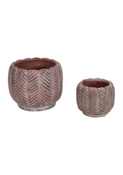 Deals 🎉 Zingz & Thingz Greek Leaf Cement Flower Pot (Set of 2) ✨ -Cheap Joyland Shop Belk 429