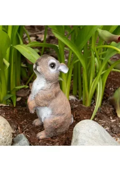 Deals 🔥 Zingz & Thingz Peek-A-Boo Garden Bunnies Décor 6.5”x5.5”x6” ⭐ -Cheap Joyland Shop Belk 562