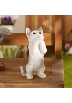 Deals ✨ Zingz & Thingz Pretty Please Cat Figurine 4.75x5x9" 🥰 -Cheap Joyland Shop Belk 640