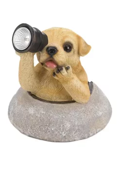Discount 😉 Zingz & Thingz Puppy with Telescope Solar Light 6.75x6.75x7" ⌛
