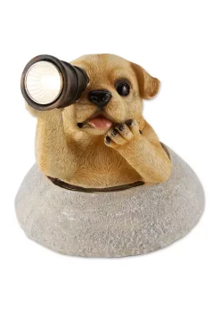 Discount 😉 Zingz & Thingz Puppy with Telescope Solar Light 6.75x6.75x7" ⌛ -Cheap Joyland Shop Belk 677