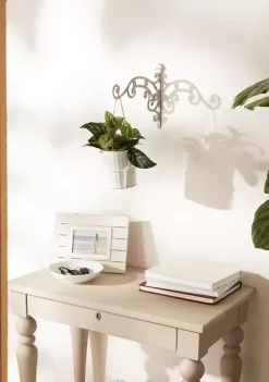 Promo 👍 Zingz & Thingz Swirl Cast Iron Planter Bracket 🧨 -Cheap Joyland Shop Belk 802