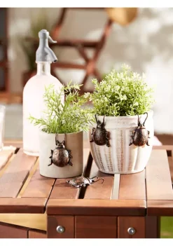 Budget 😀 Zingz & Thingz Ladybug Cast Iron Pot Hanger (Set of 4) 🔔 -Cheap Joyland Shop Belk 857